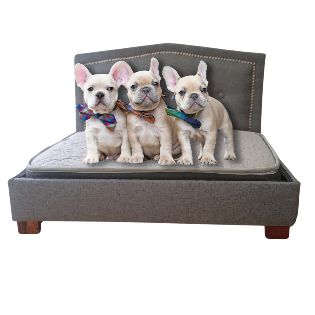 Cama para mascota respaldo curvo gris medio 60x80