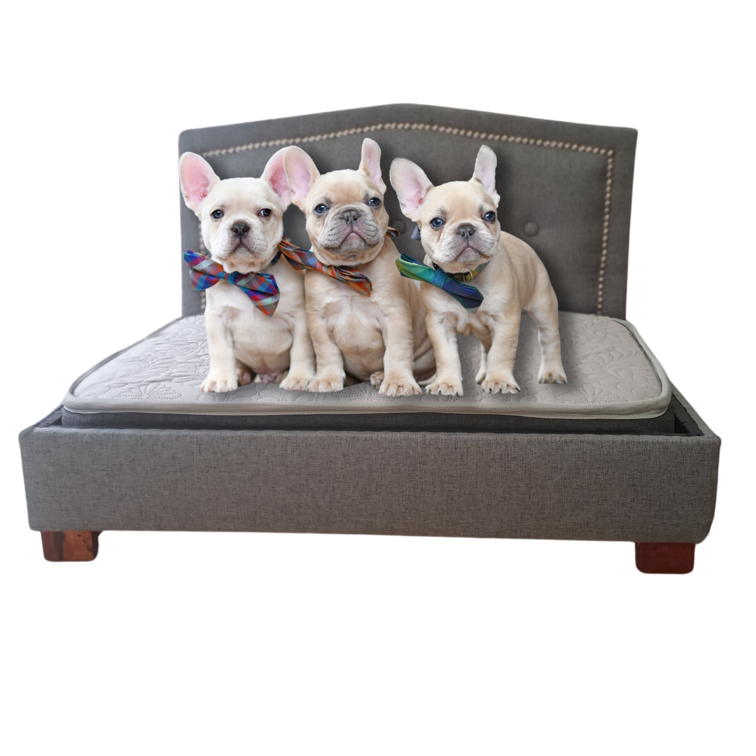 Cama para mascota respaldo curvo gris medio 60x80