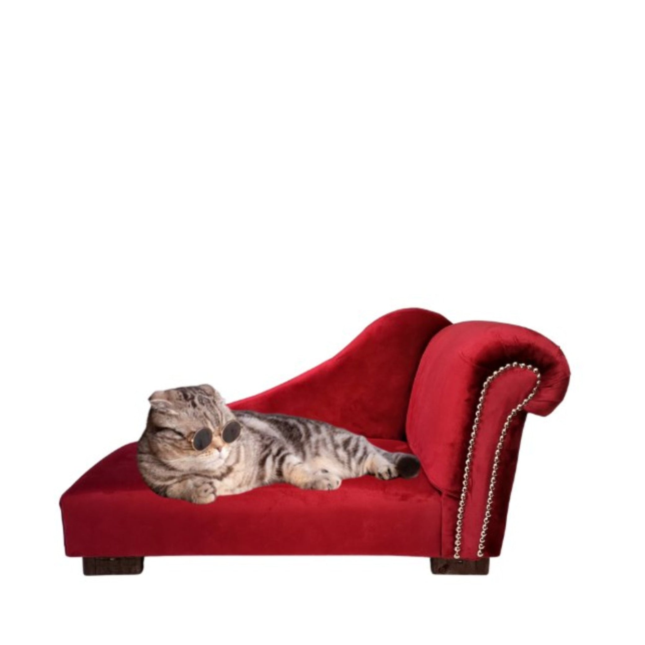 Hermoso  y firme sofá  hecho a escala para mascotas. Destaca su tapiz en tela felpa y sus excelentes terminaciones. Su estructura firme de madera forrado de napa con espuma acabado con un tapiz en felpa otorga gran comodidad para el mas consentido de la casa.
Sin duda un lujo al alcance de la mano para quien se merece un espacio dentro de la familia. 