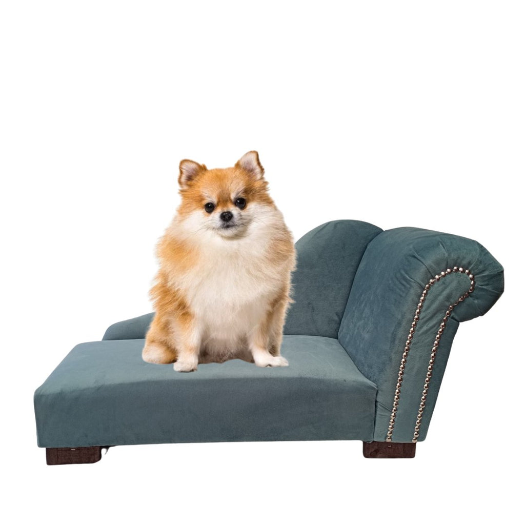Sofa Mascota chaise lounge