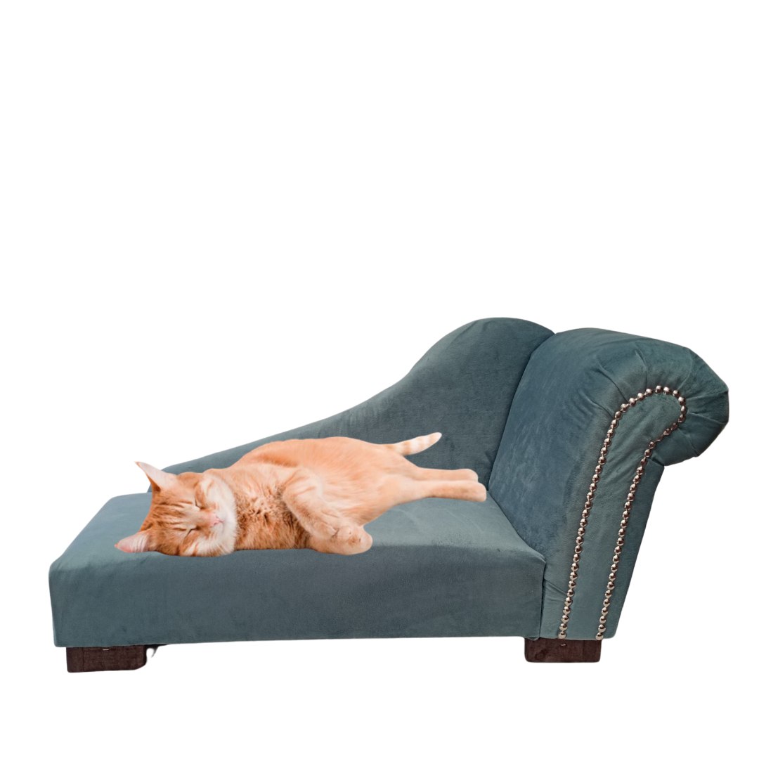 Sofa Mascota chaise lounge